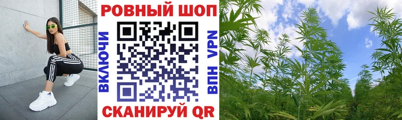 Виды наркотиков купить Жуковский omg как войти  А ПВП  Меф  ГАШИШ  Марихуана  КОКАИН 
