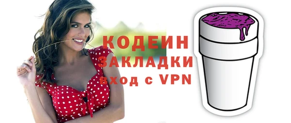 соль ск Абаза