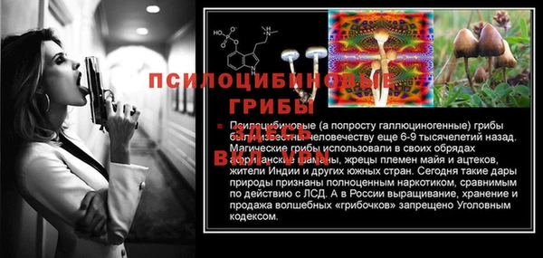 PSILOCYBIN Алзамай