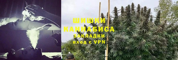 PSILOCYBIN Алзамай