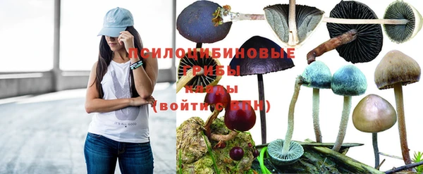 PSILOCYBIN Алзамай